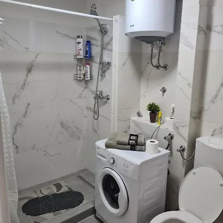 Bilino Polje Apartment *