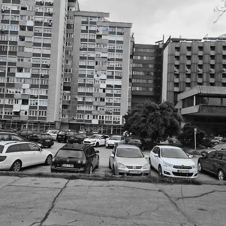 Bilino Polje 泽尼察