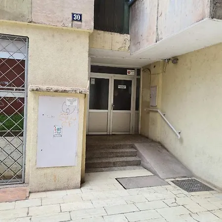 Bilino Polje * 泽尼察