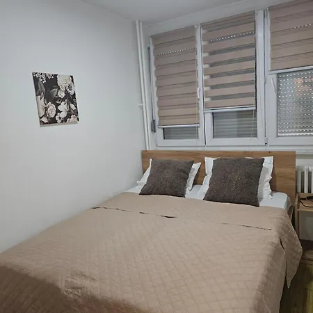 Bilino Polje * 泽尼察